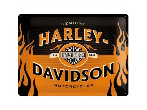Plaque émaillée 30 X 40 cm. HARLEY DAVIDSON