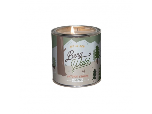 Bougie parfum&eacute;e au pin