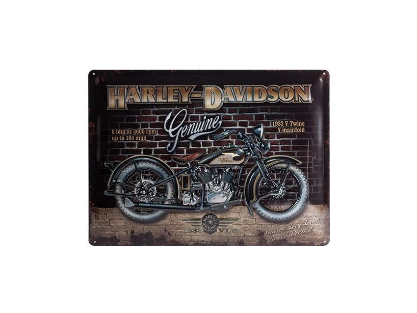 Plaque émaillée 30X40 cm. Collection Harley-Davidson.
