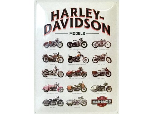 Plaque émaillée 30X40 cm. Collection Harley-Davidson.