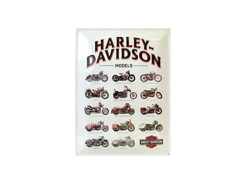 Plaque émaillée 30X40 cm. Collection Harley-Davidson.