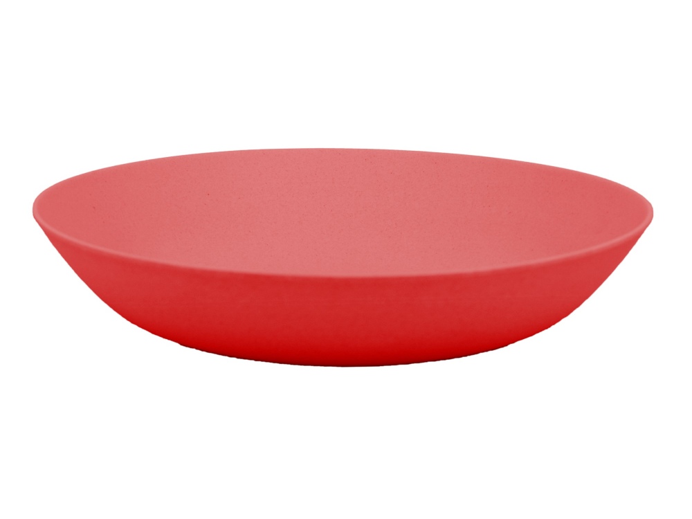 10 Assiettes ovales plastique réutilisable rouge 25,5 x 19,5 cm