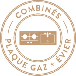 Combiné gaz et évier